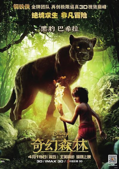 英语四级电子成绩单在哪看